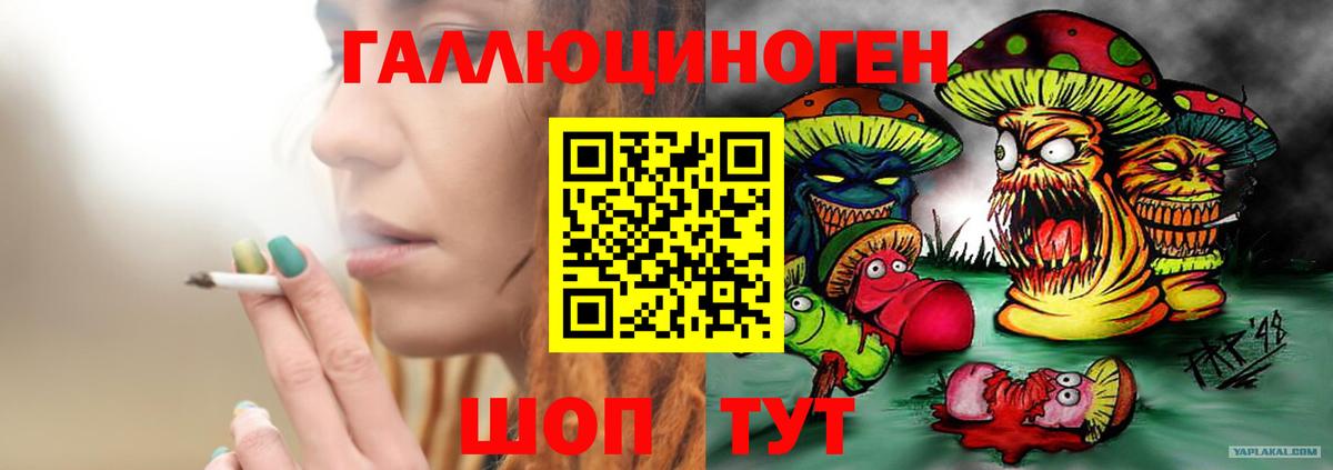 Галлюциногенные грибы мицелий  Вход с VPN  Галлюциногенные грибы GOLDEN TEACHER  Выкса 